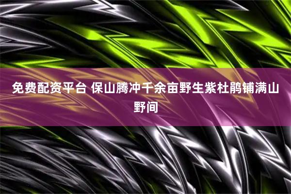免费配资平台 保山腾冲千余亩野生紫杜鹃铺满山野间